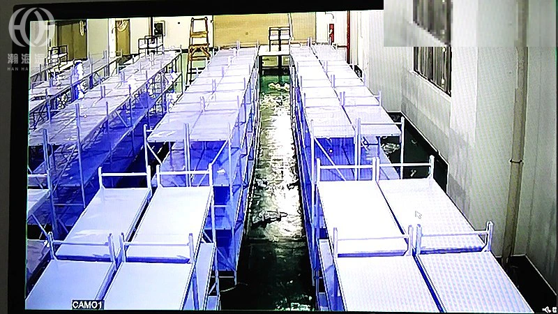 深圳福永冷链仓监控安装,室内外点位怎么衔接