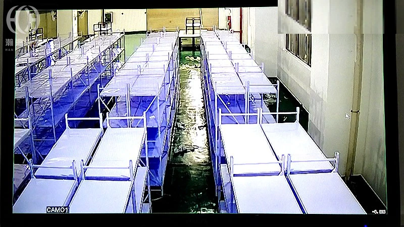 深圳大鹏冷链仓监控安装,远程访问安全怎么做 图1
