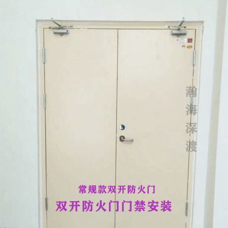 双开防火门门禁(常规款)