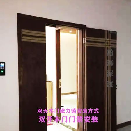 双开木门门禁