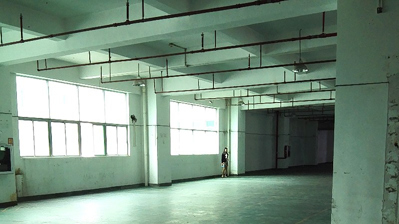 深圳西丽园区弱电工程，防雷接地怎么做