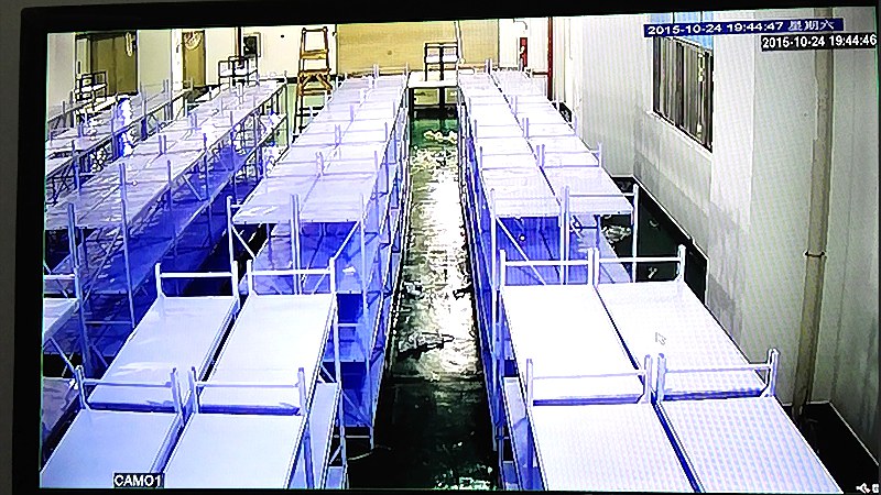 深圳福永冷链仓监控安装，室内外点位怎么衔接