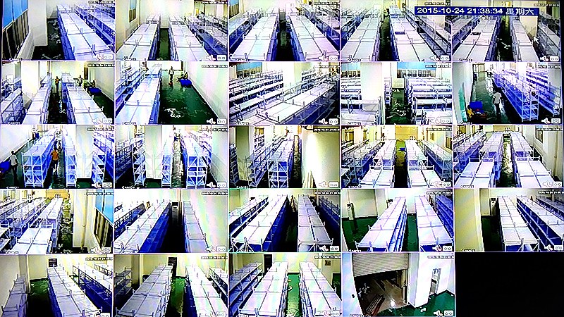 深圳坪山老旧楼宇监控安装，夜间补光怎么处理