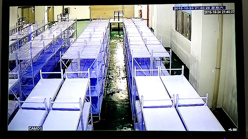 深圳大鹏冷链仓监控安装，远程访问安全怎么做