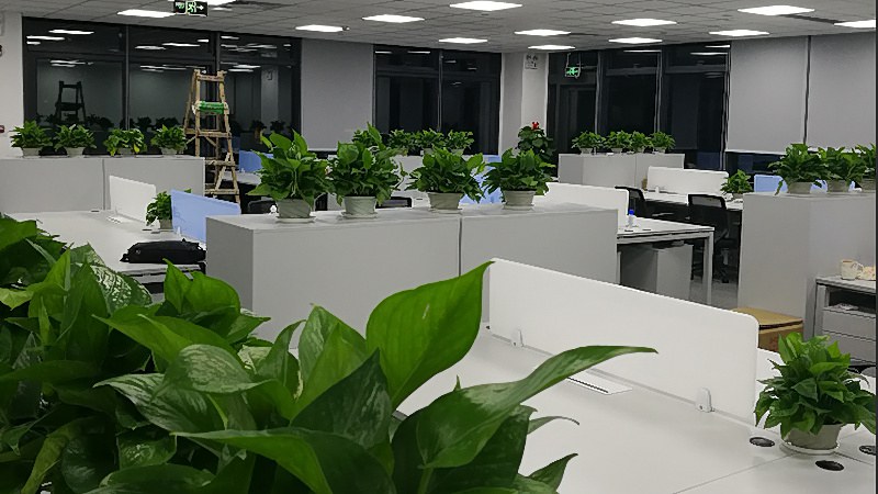深圳龙岗科技园网络布线，带宽瓶颈怎么找