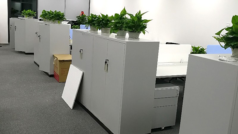 深圳新桥研发办公网络布线，主干与分支怎么分