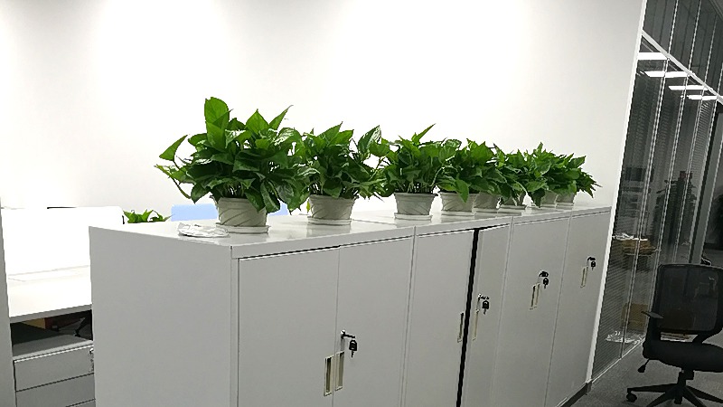深圳办公室网络布线常见问题，这些情况怎么排查，网线安装施工